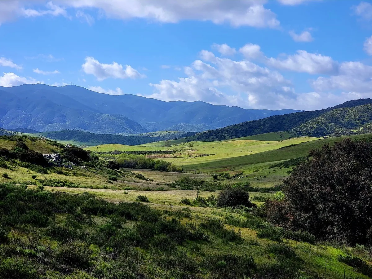 Rolling green hills and oak woodlands of Jamul, CA with mountains in the distance — the rural East County community served by James Martial Arts Academy in El Cajon