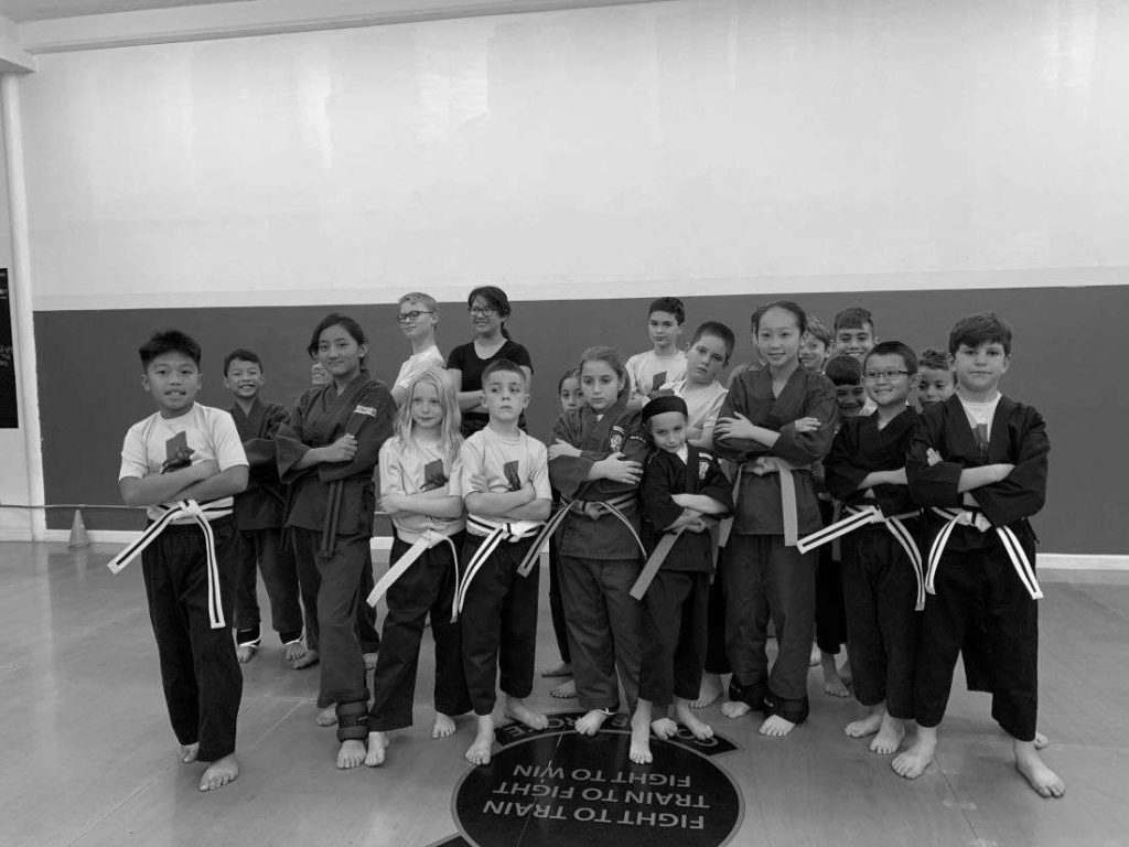 Home school karate program