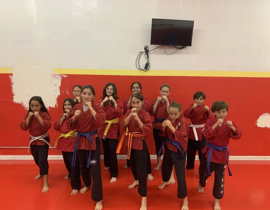Teen martial arts in El Cajon, 92020